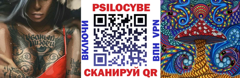Купить  Олёкминск  Галлюциногенные грибы Psilocybe 